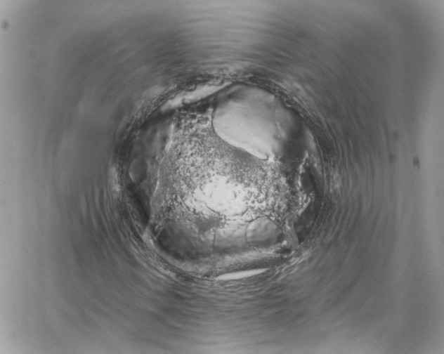 X0000066091106200603241450