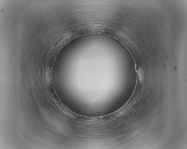 X0000066091107200603241450