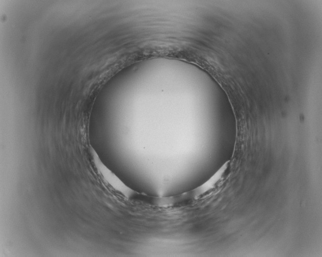 X0000066091109200603241450