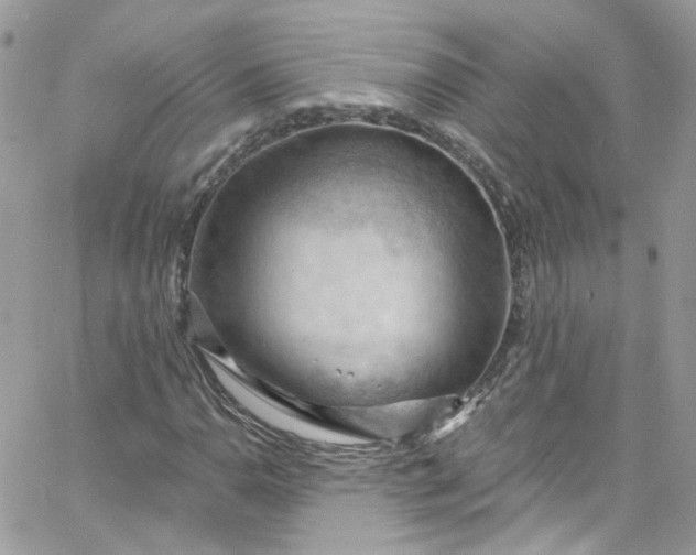 X0000066091110200603241450