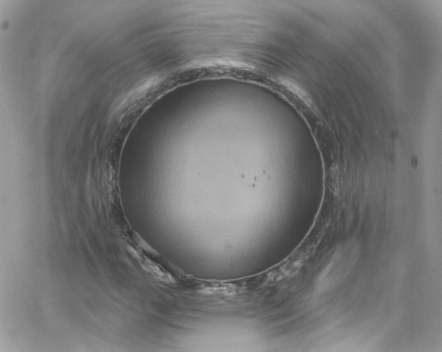 X0000066091111200603241450