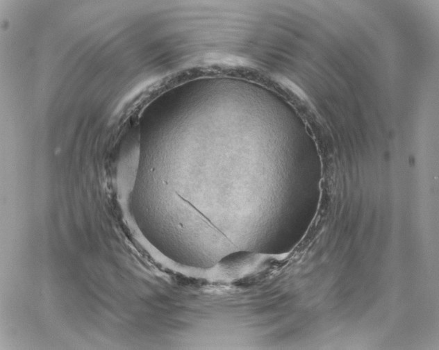 X0000066091112200603241450