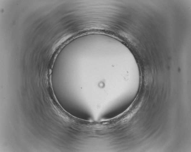 X0000066091113200603241450