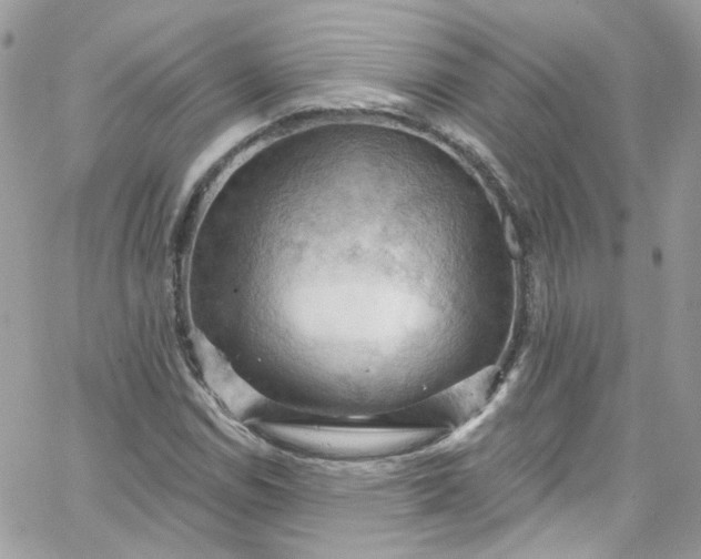 X0000066091114200603241450