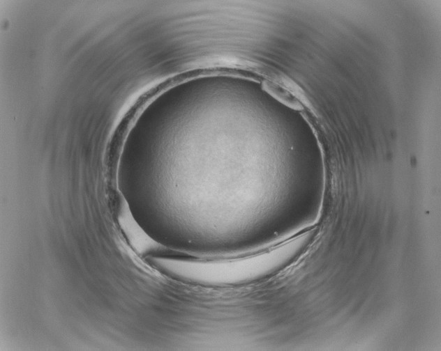 X0000066091116200603241450