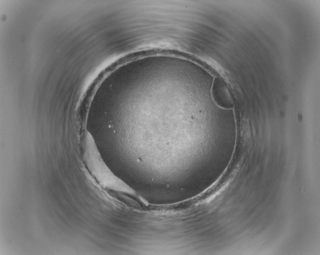 X0000066091118200603241450