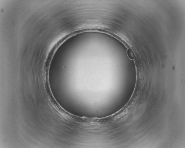 X0000066091119200603241450