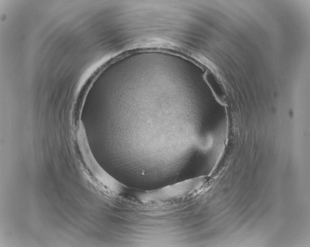 X0000066091120200603241450