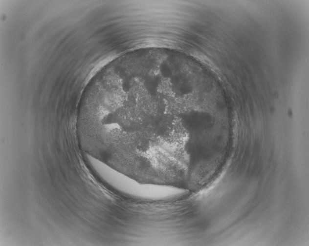 X0000066091121200603241450