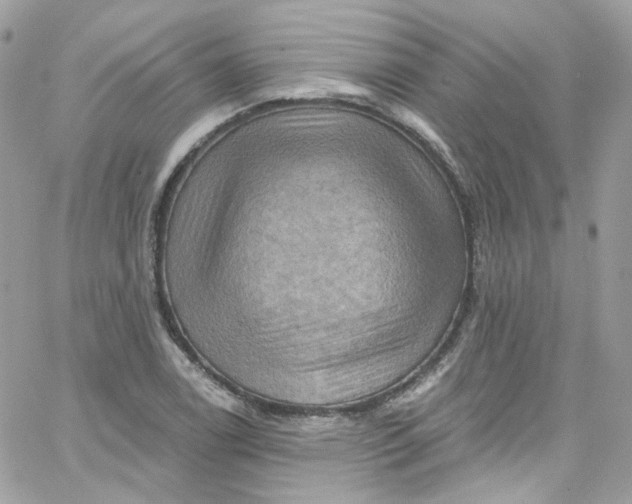 X0000066091122200603241450