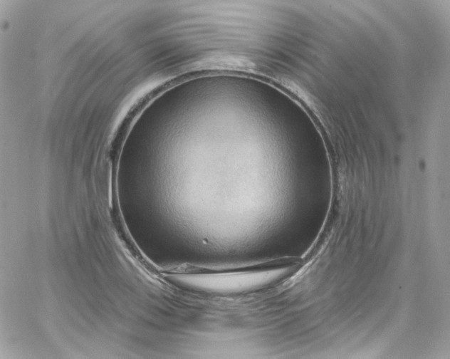 X0000066091123200603241450