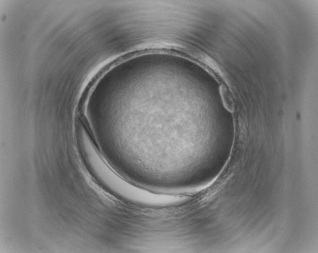 X0000066091124200603241450