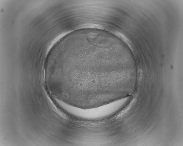 X0000066091125200603241450