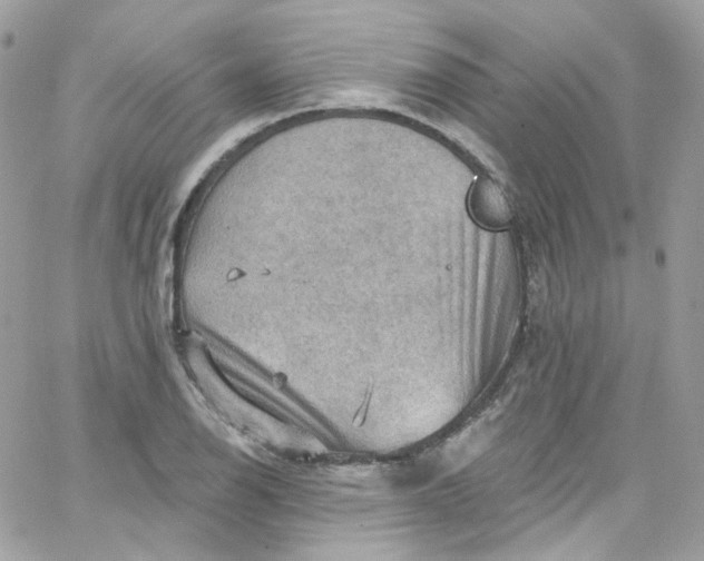 X0000066091126200603241450