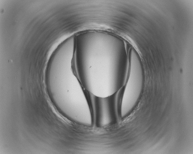 X0000066091128200603241450