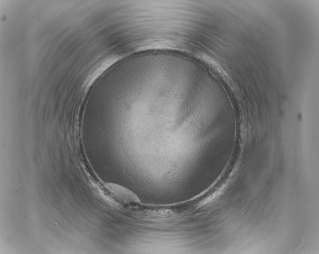 X0000066091129200603241450