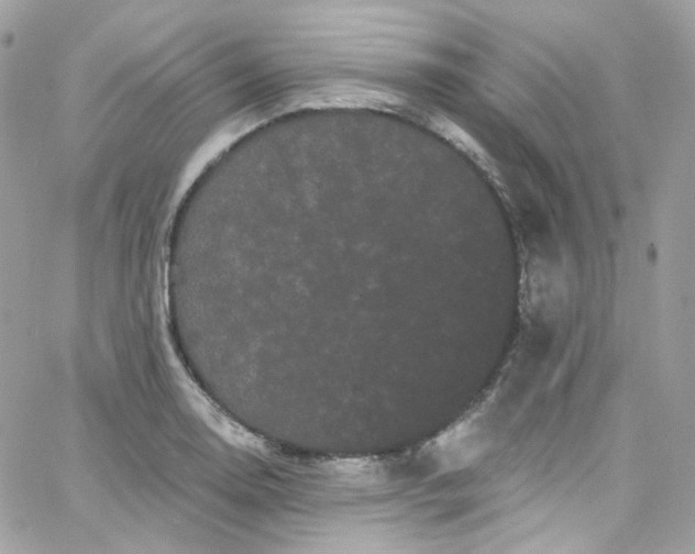 X0000066091130200603241450