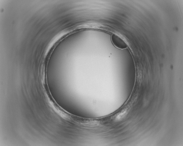 X0000066091131200603241450