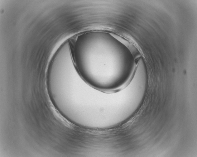 X0000066091132200603241450