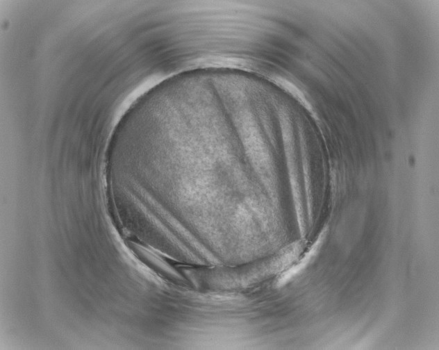 X0000066091133200603241450