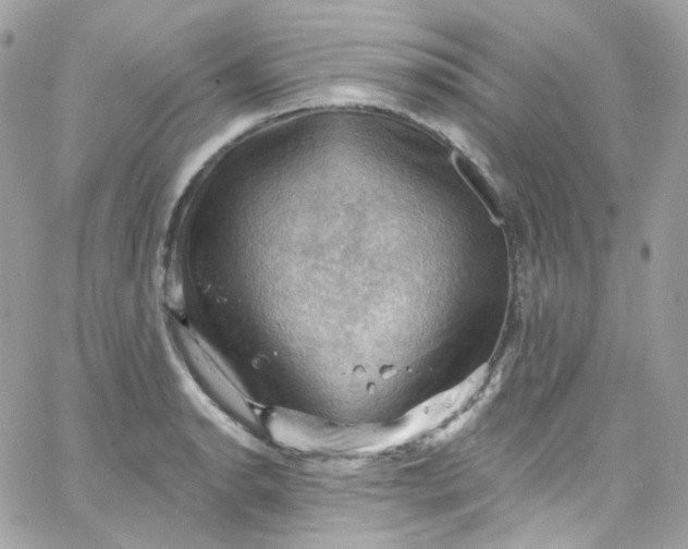 X0000066091134200603241450