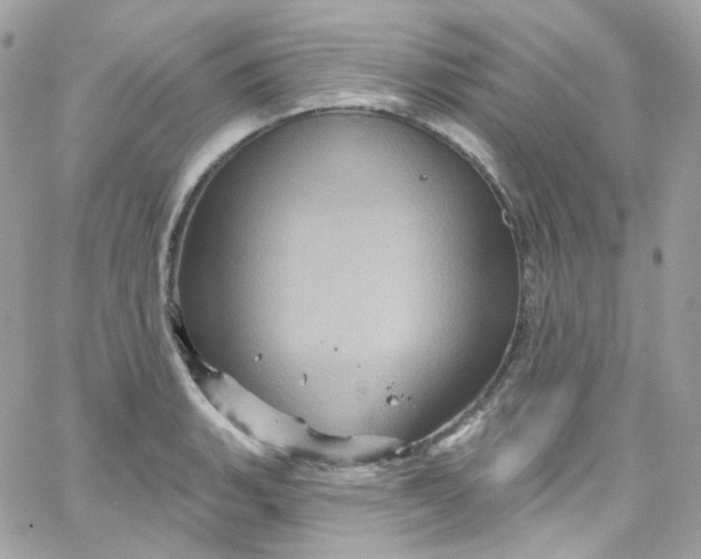 X0000066091135200603241450