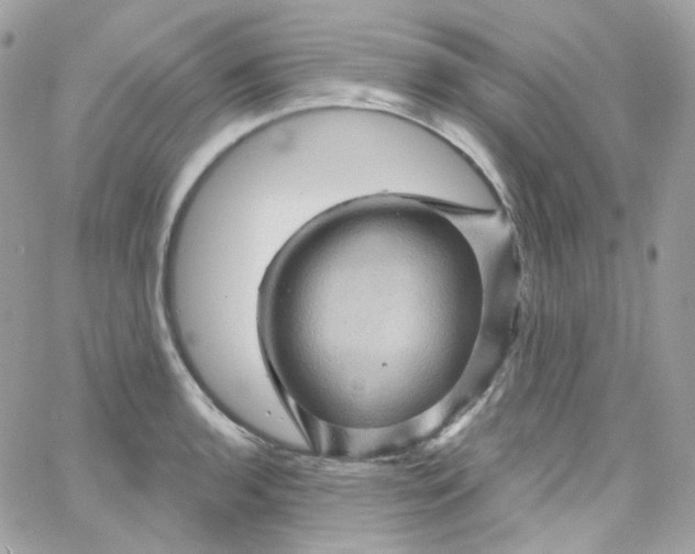 X0000066091136200603241450