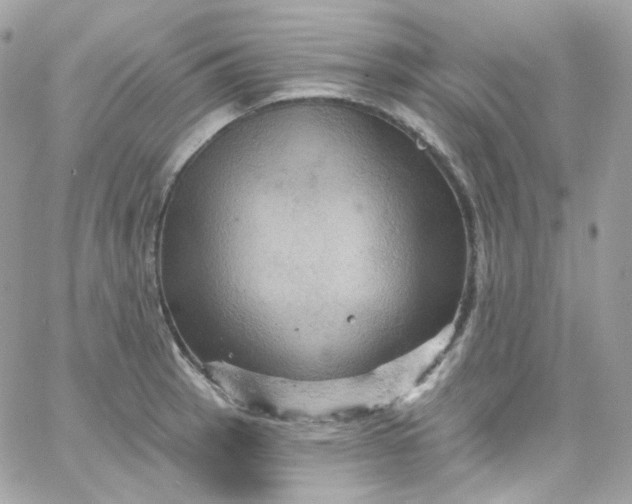 X0000066091137200603241450