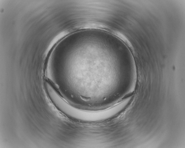 X0000066091138200603241450