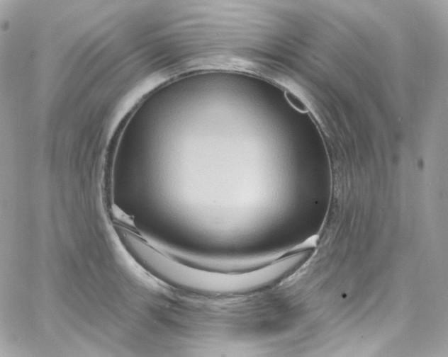 X0000066091139200603241450