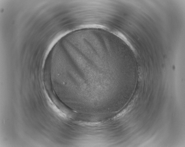 X0000066091140200603241450