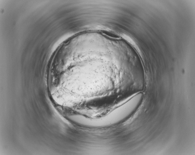 X0000066091141200603241450