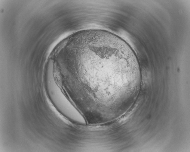 X0000066091142200603241450