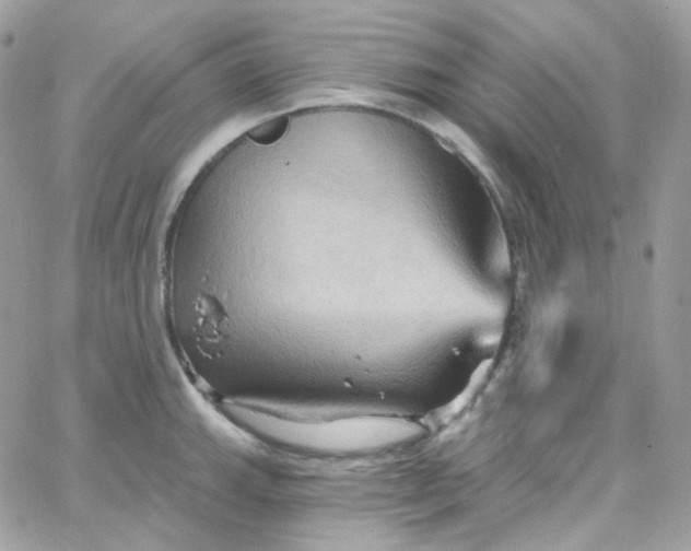 X0000066091143200603241450