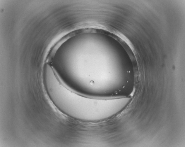 X0000066091144200603241450