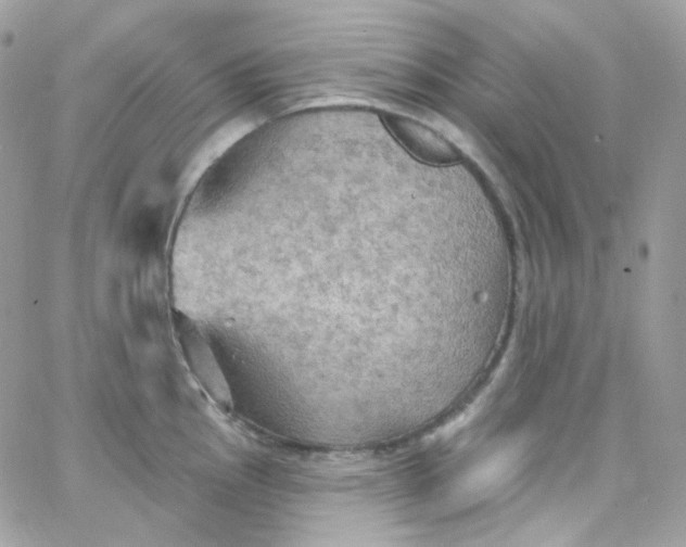 X0000066091145200603241450