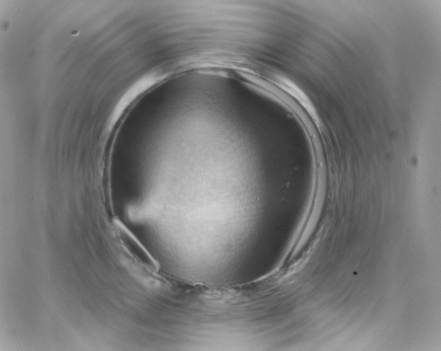 X0000066091146200603241450