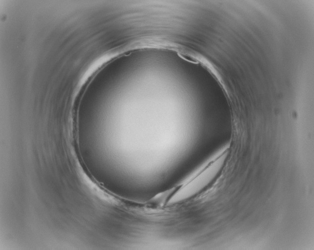 X0000066091147200603241450