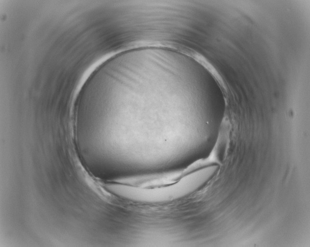 X0000066091148200603241450