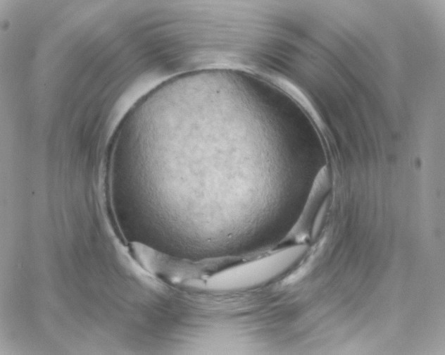 X0000066091149200603241450