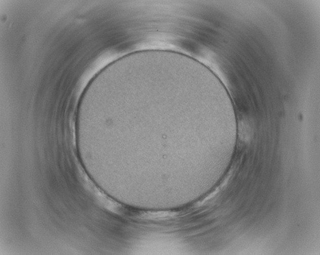 X0000066091150200603241450