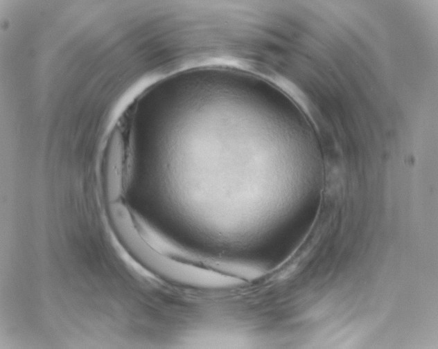 X0000066091151200603241450