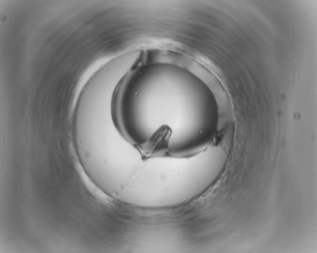 X0000066091152200603241450