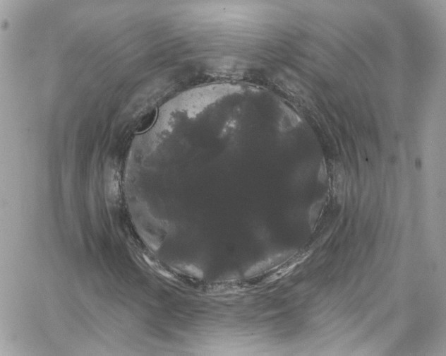 X0000066091154200603241450