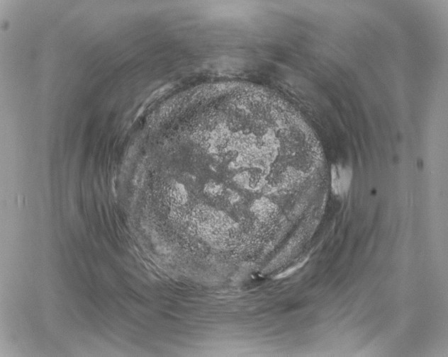 X0000066091155200603241450