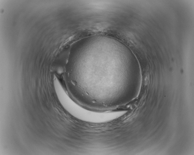 X0000066091156200603241450