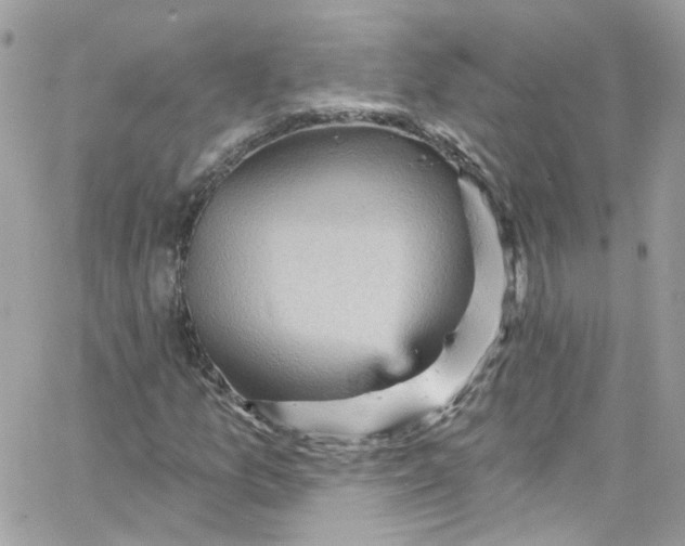 X0000066091157200603241450