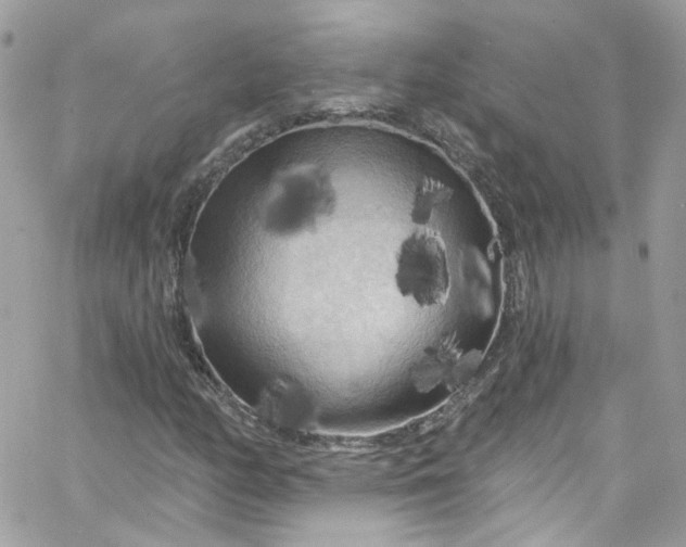 X0000066091158200603241449