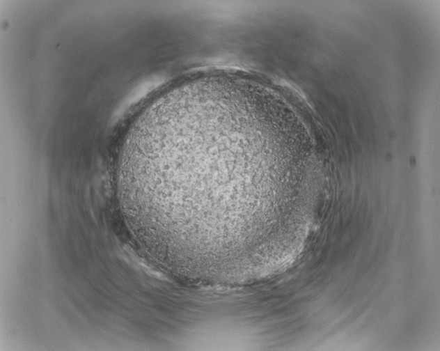 X0000066091159200603241449