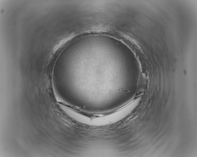 X0000066091160200603241449